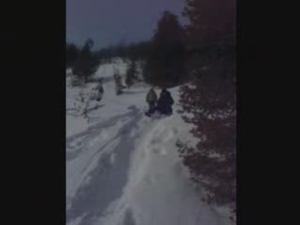 Nelly et la luge (encore)