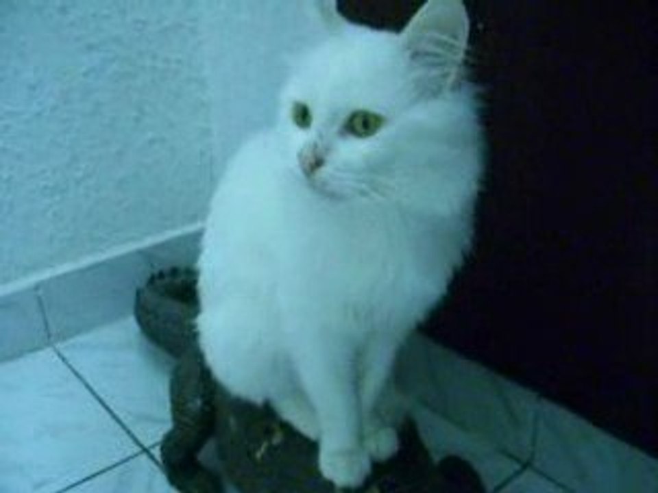Sebastian
