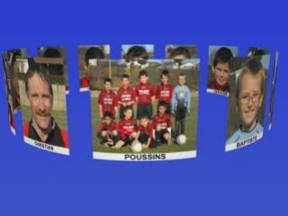 Poussins