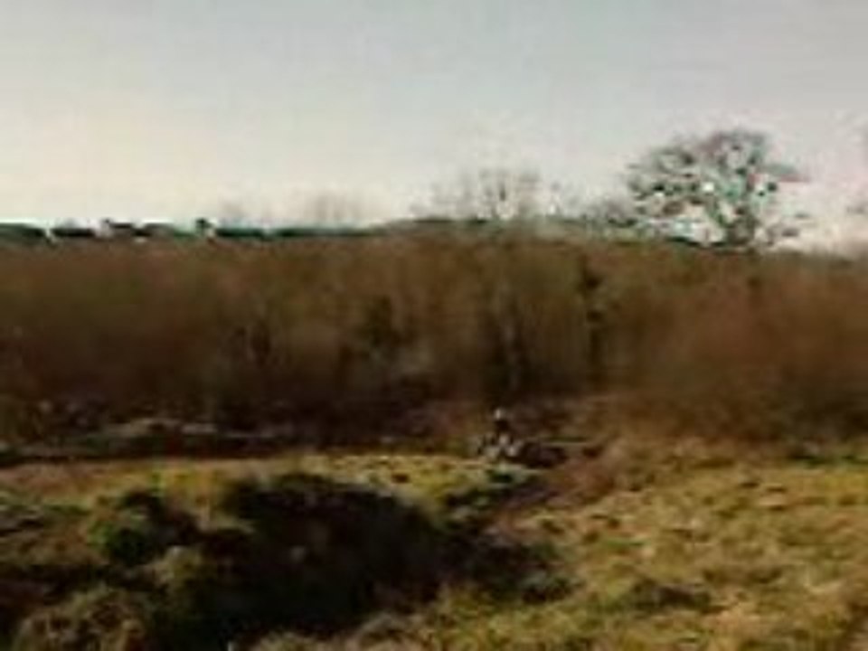 quad:le lapin des garennes