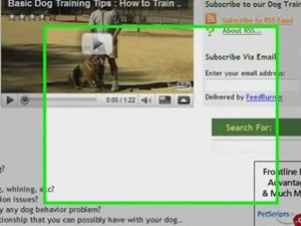 Dog Training Website For Sale