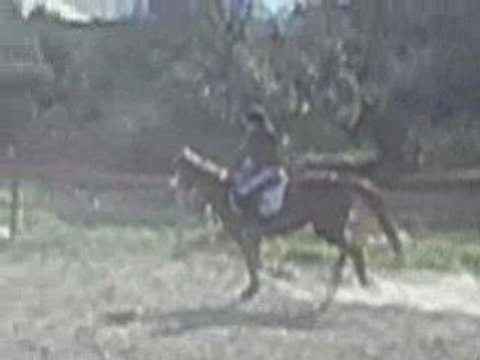 Samedi 21.02.09 so ak ma vyii+pastré 047