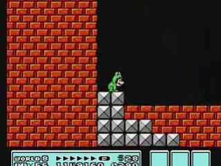 Frogsuit Mario Bros. Frog Frog Frog (End of Everything)