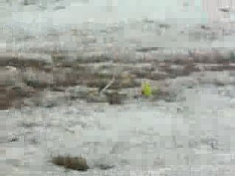 RC helicopter backflips with a crash