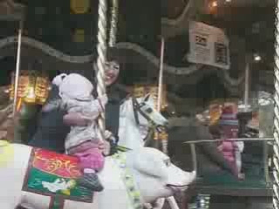 Pupuce au manège