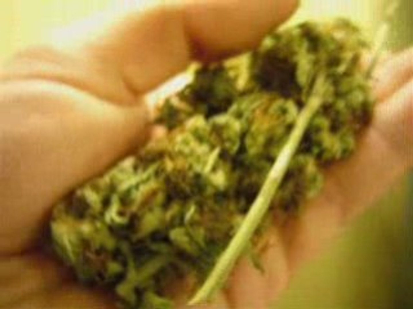 ⁣Some Home Grown Marijuana