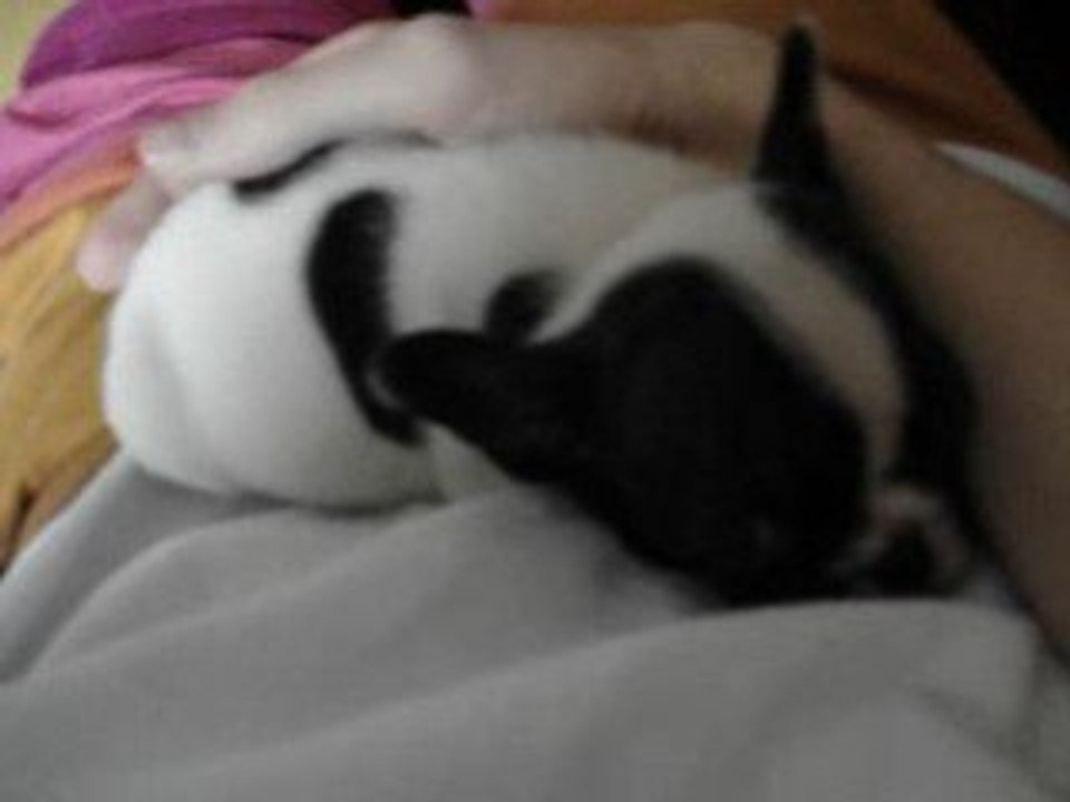 Yuki dans mes bras