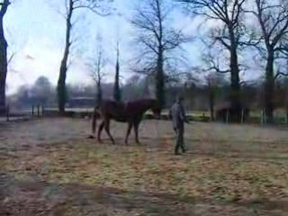 rotary longé enrênement