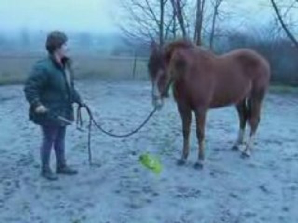 Thalya 9ème séance étho partie 3