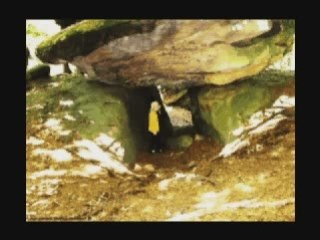 LUMINITA SOARE: "JOHNNY BLUES" german- zweite Version