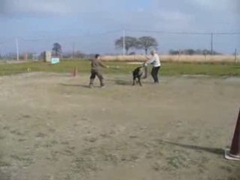 Dagor au mordant à 5 mois 3 semaines