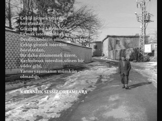 Çekip gitsem buralardan ! ßy adogan