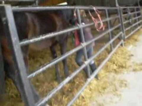 Haras de Val en Pre - Moi et Kaoline