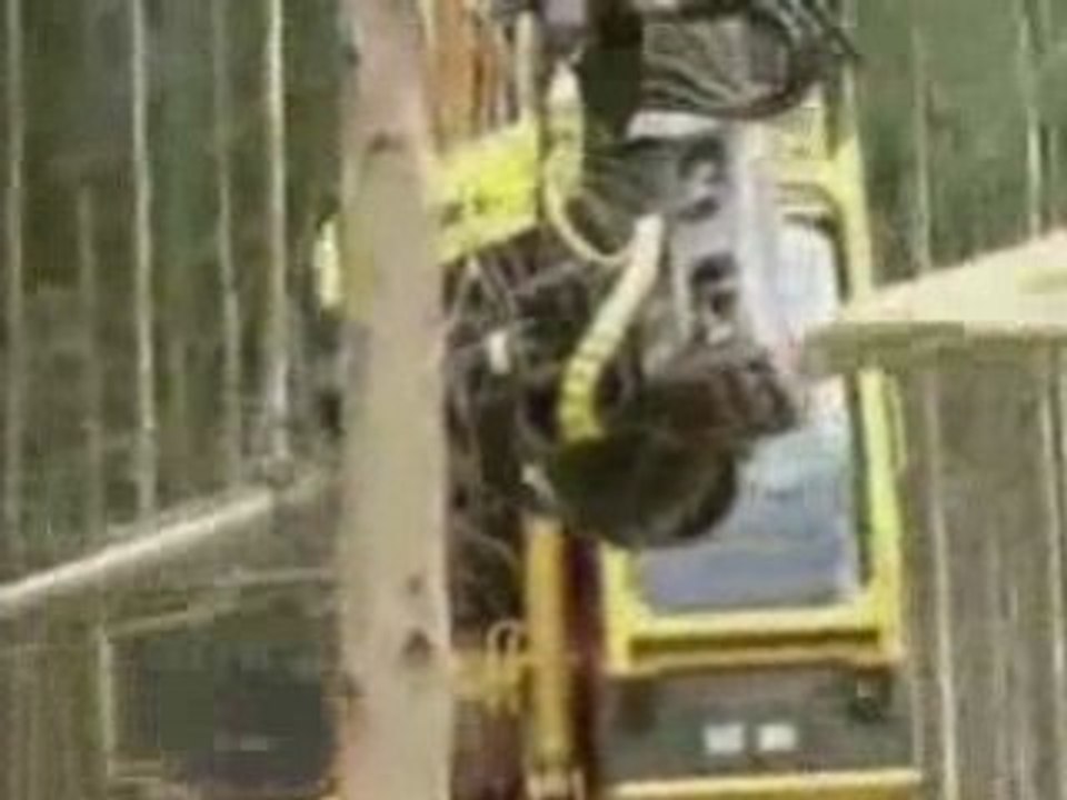 Terrible robot bucheron