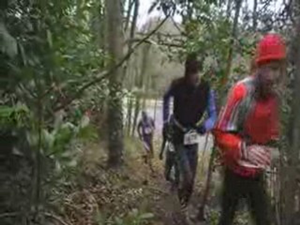 Sous bois Plage du Moulin Etables/mer