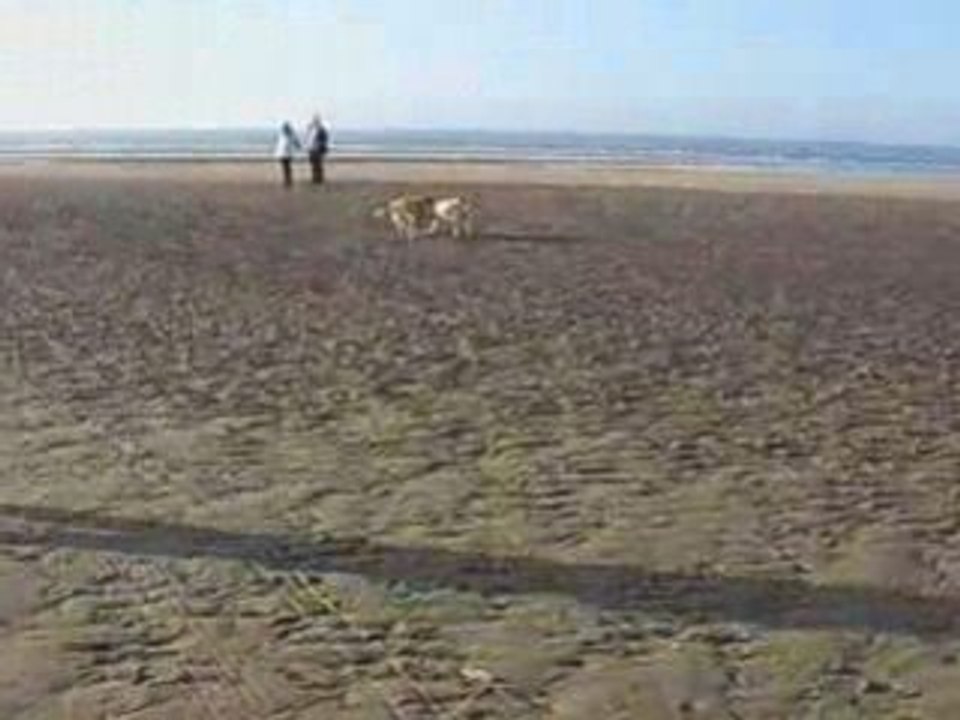 Louis et Nini sur la plage, Louis e Nini na praia