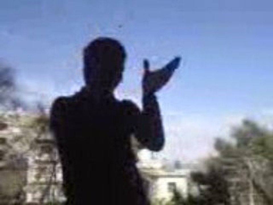 group everton (ripitition)