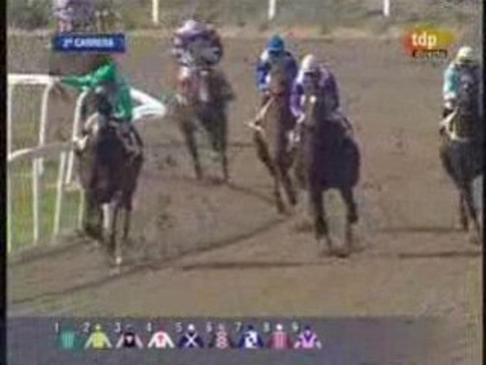 2009 (39) PREMIO MMAMRM (CATEGORIA C) (JAVITA)