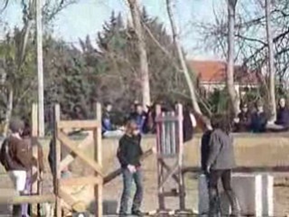 Tour d'honneur Bambou & moi