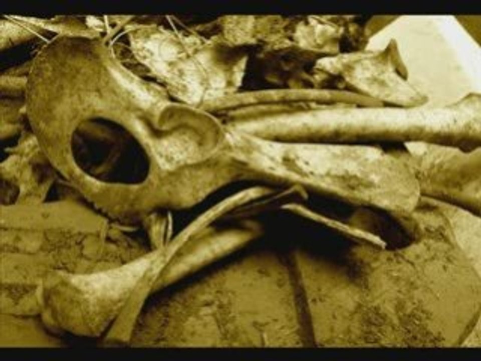 Empyrium - a pastoral theme