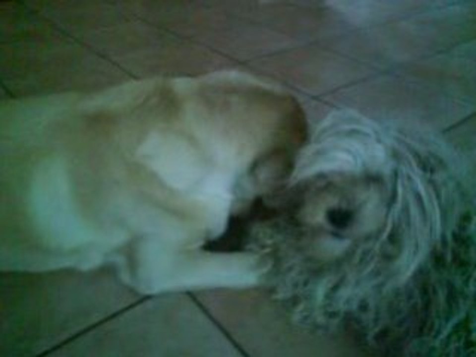 Max et Louna