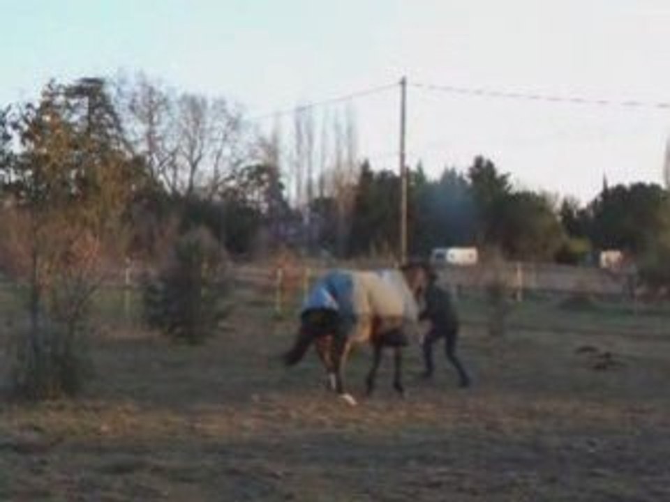 Nar juste pour le plaisir