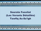 Coran sourate 041 les versets détaillés Fussilat vostfr