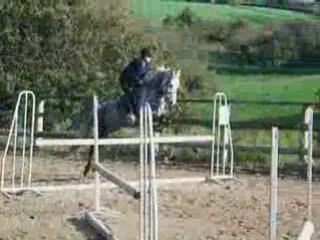 Vacances de la toussaint 2008 avec little exmoor