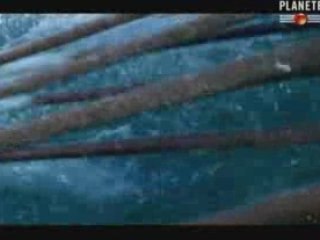 Athènes au temps de Periclès 3-3