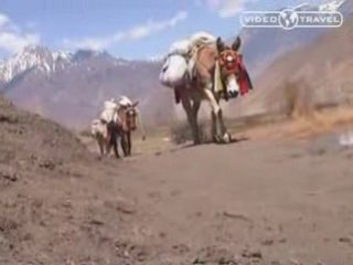 Annapurna Trekking 7/7