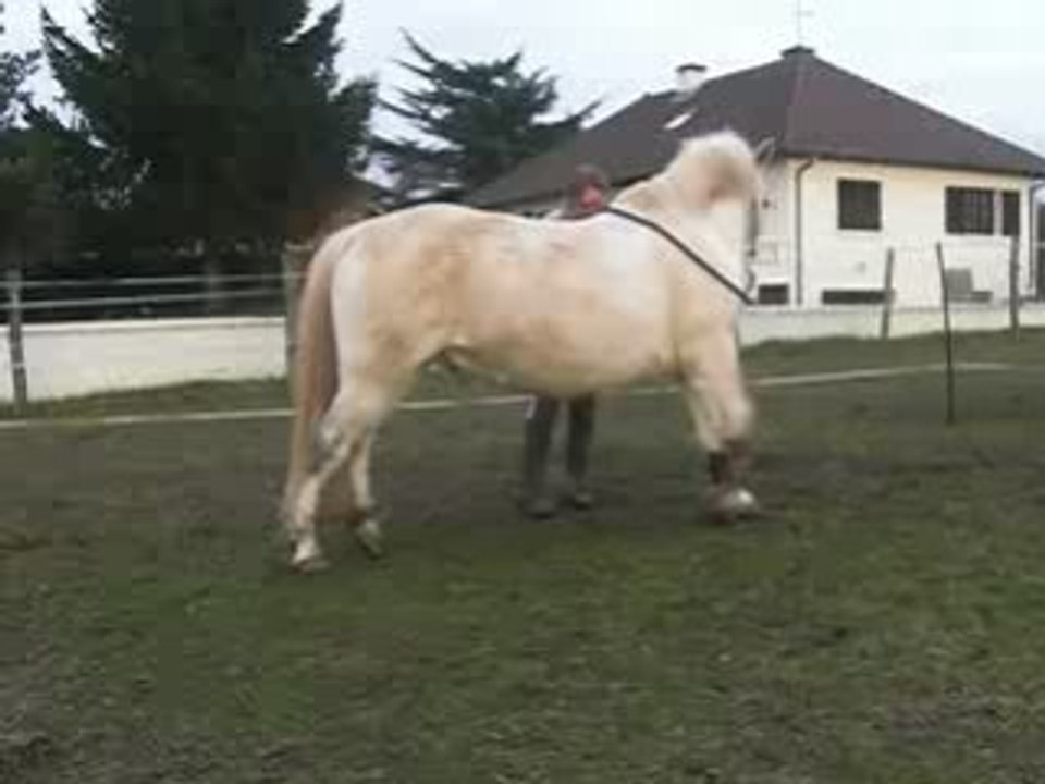 Le Campo