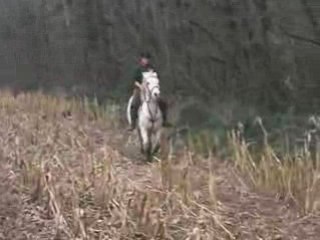 Saut d'un tronc d'arbre