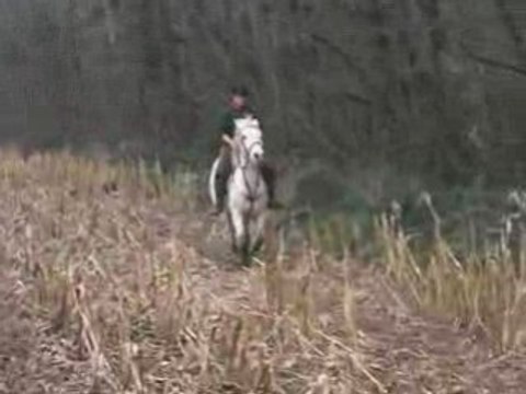 Saut d'un tronc d'arbre