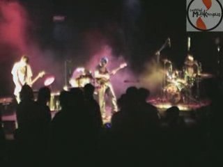 MusiKampus 8 - Shiko Shiko, Pig