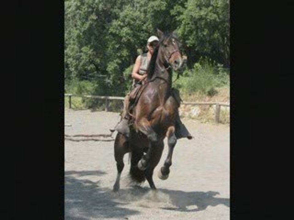 Rio cheval au grand coeur_1