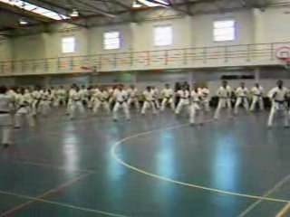 Estágio Internacional - Shotokan Portugal 2009 (Parte2)