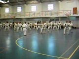 Estágio Internacional - Shotokan Portugal 2009 (Parte3)