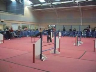 ASia agility 22 fevrier 09