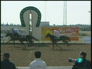 2009.02.22, nº 39 MJ (3a nac ng) Javita