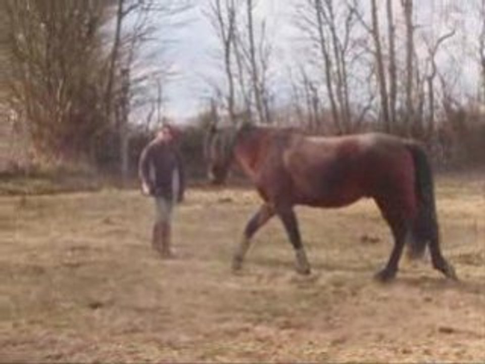 Scéance trot