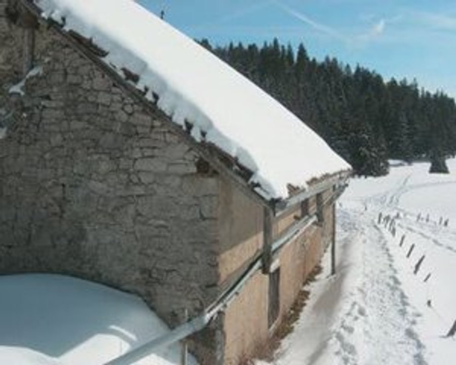 Cuvery_0001