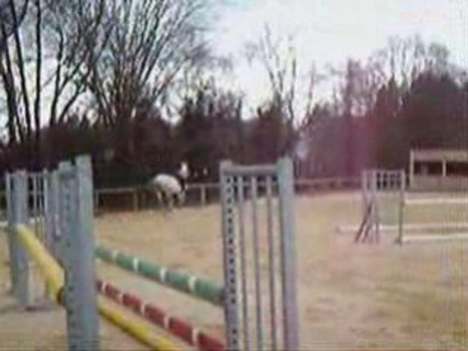 séance du 21 février 2009