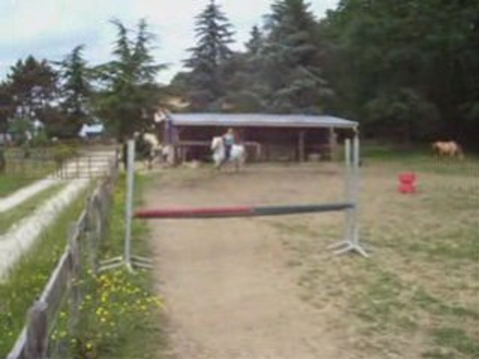 Audrey' . & Ouragan de Messey - CSO