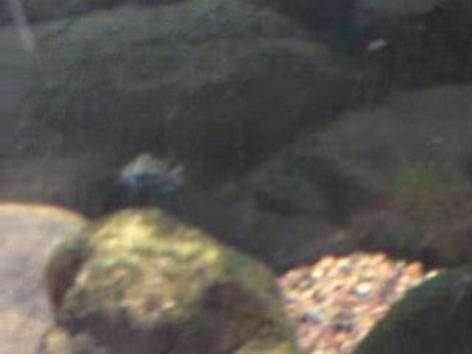 V220108_15.53[01]