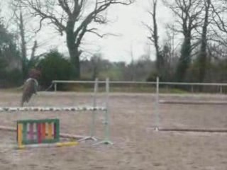 Neza - Stage Olivier C.    2