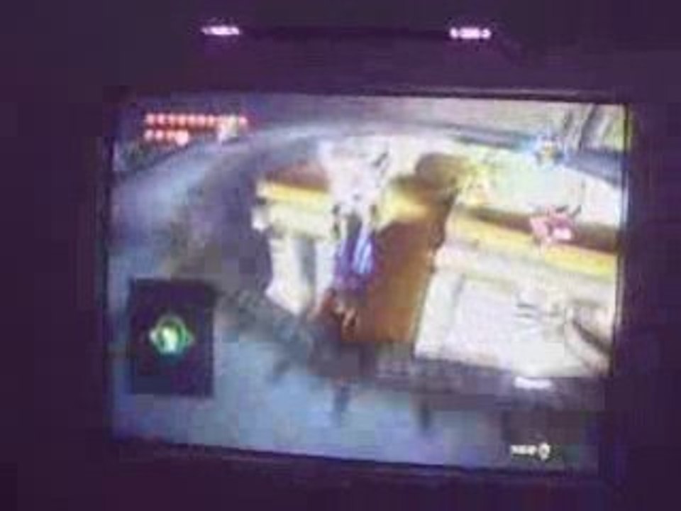 Bug Twilight princess