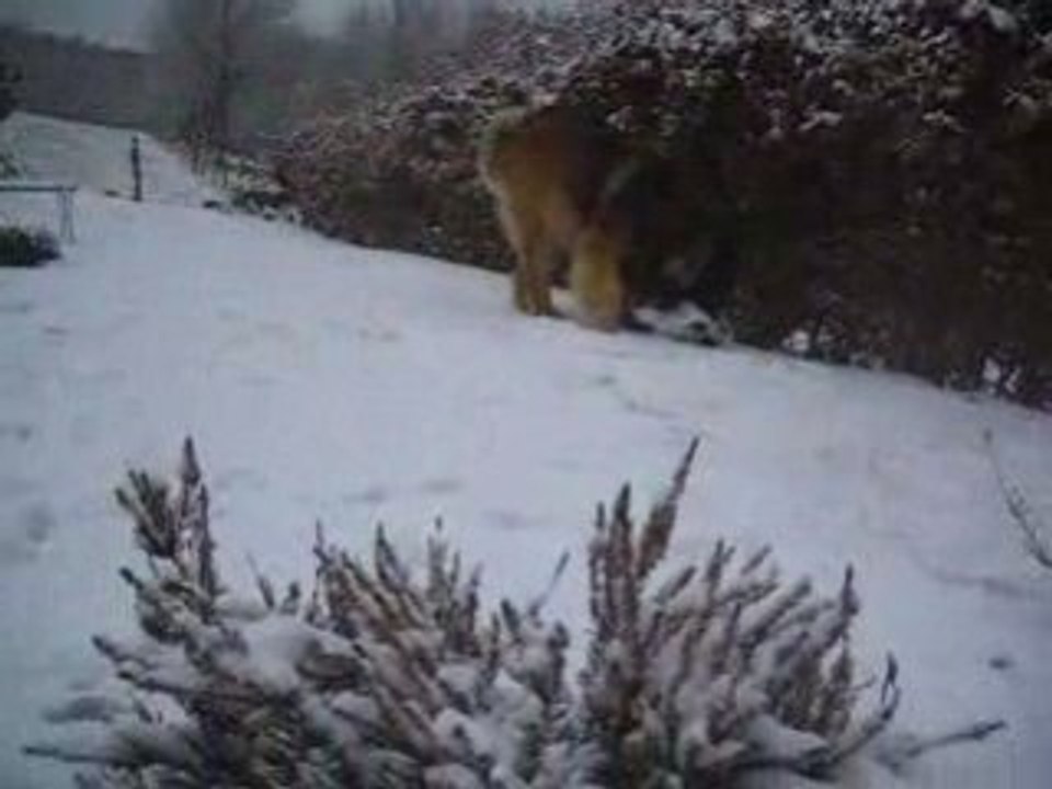 eclair dans la neige