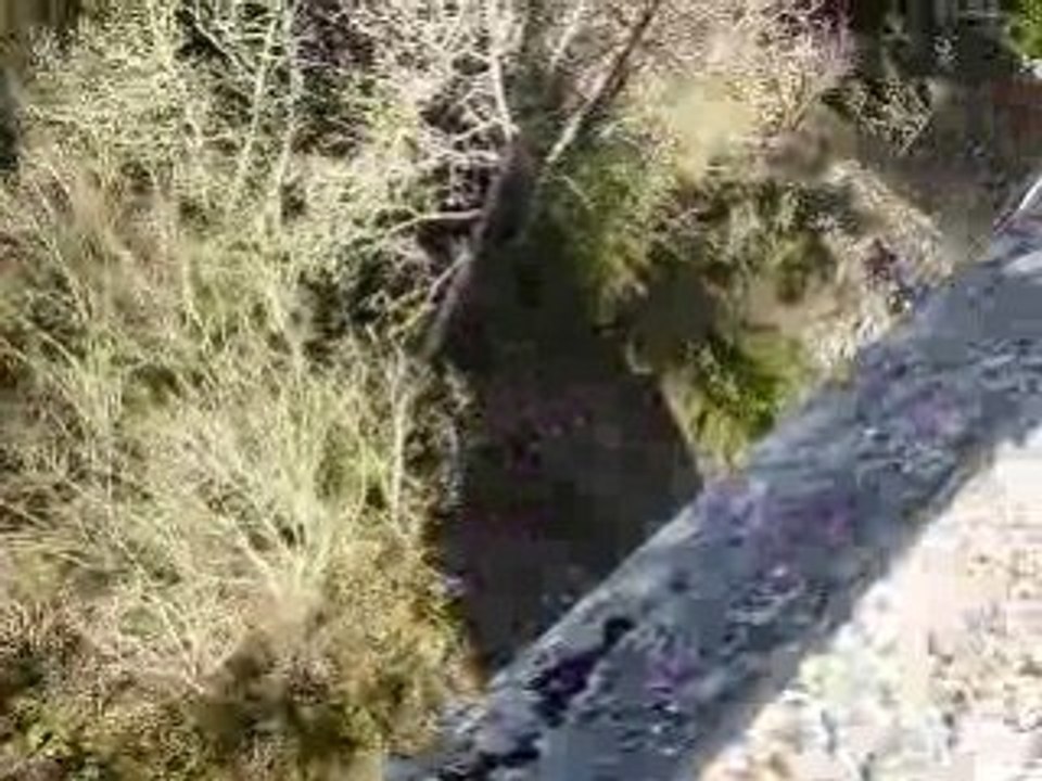 Saut Estelle WED
