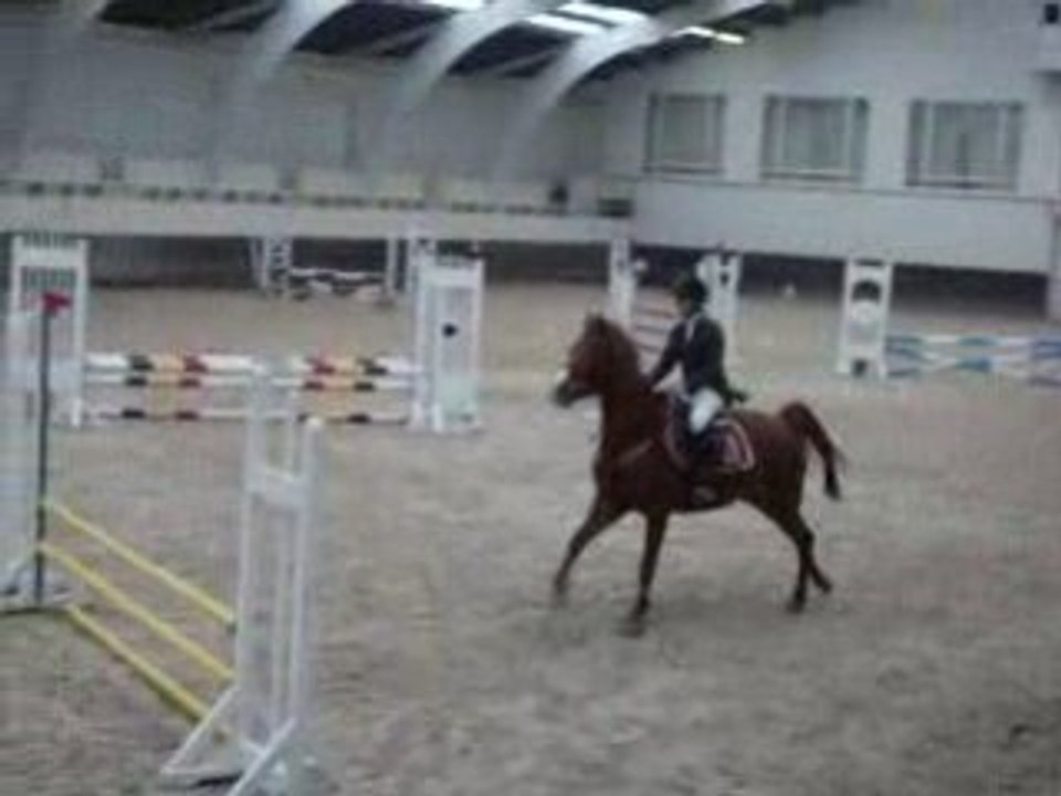 Concours Chevalerie Charlotte/Stellina 70-80