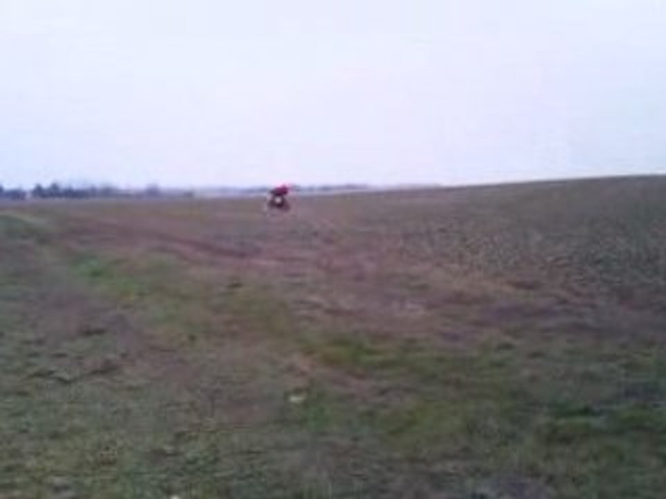quad